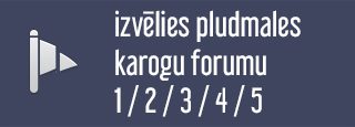 Pludmales karoga forma